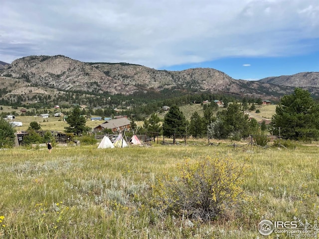 1843 Palisade Mountain Dr, Drake, CO 80515