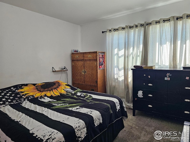 bedroom with carpet