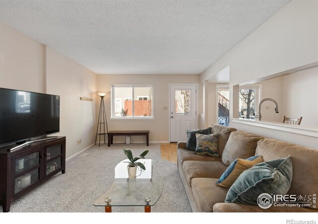 carpeted living room featuring a textured ceiling