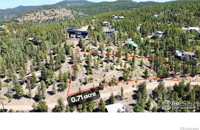 Listing photo 2 for 46 Pinecliff Trl, Nederland CO 80466