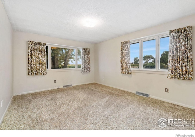 carpeted spare room with a textured ceiling and a healthy amount of sunlight