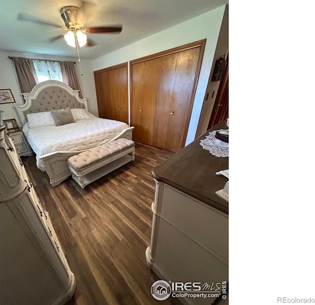 bedroom with two closets, ceiling fan, and dark wood-type flooring