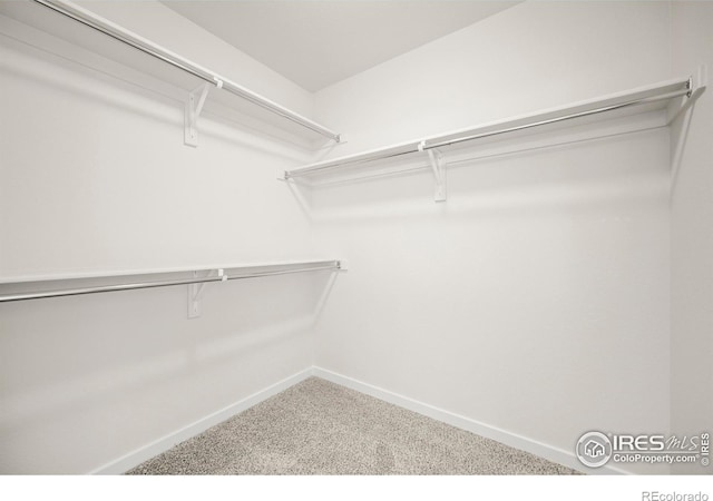 walk in closet with carpet