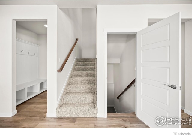 stairway with wood-type flooring