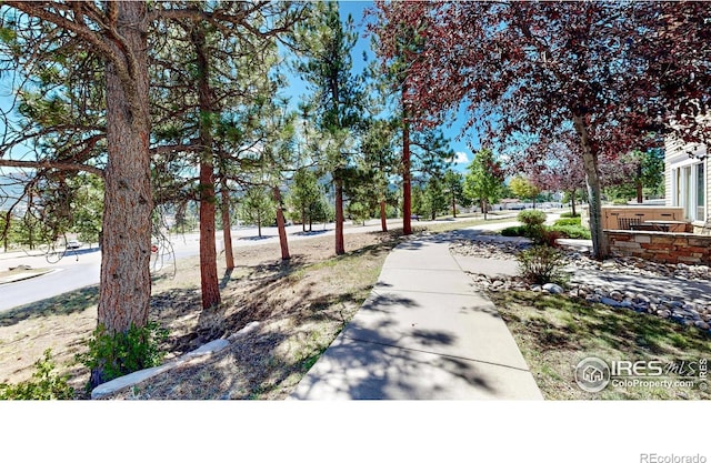349 Overlook Ln, Estes Park, CO 80517 - view of property's community