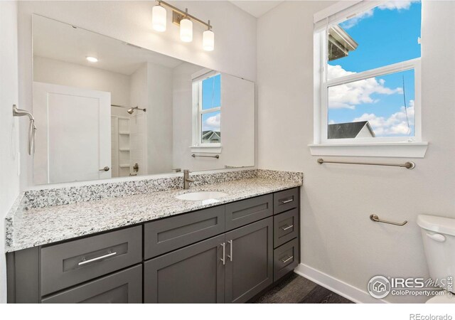 bathroom featuring a shower, vanity, toilet, and a wealth of natural light