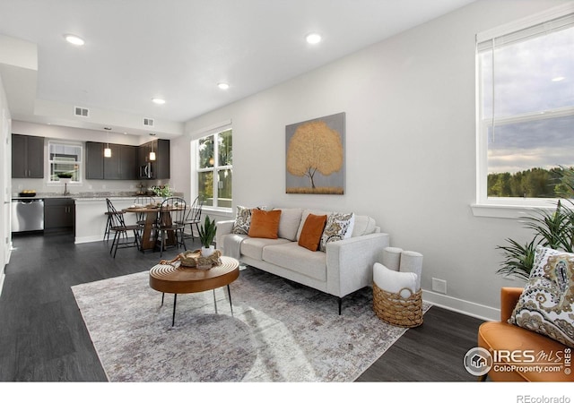 living room with dark wood-type flooring and sink