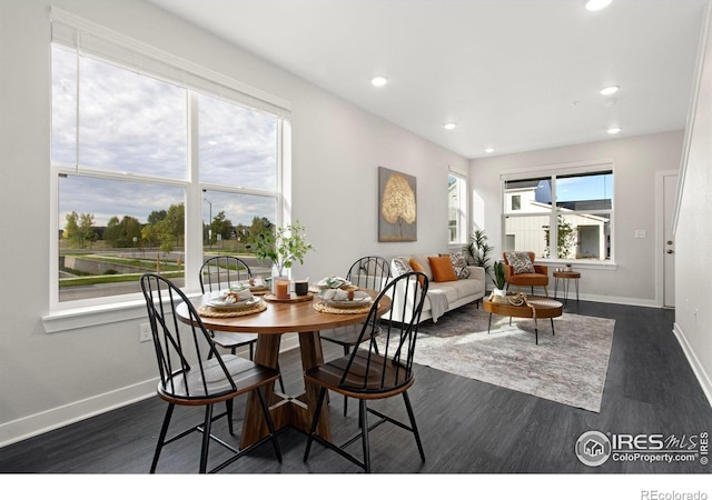 dining room with dark hardwood / wood-style floors