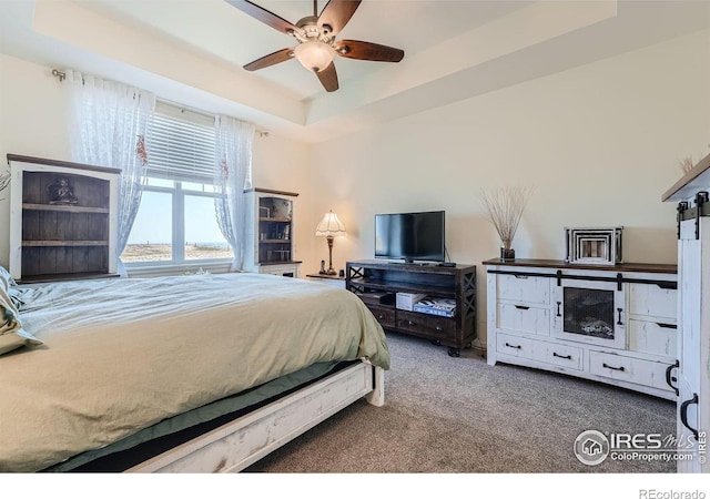 bedroom with ceiling fan, a raised ceiling, and carpet flooring