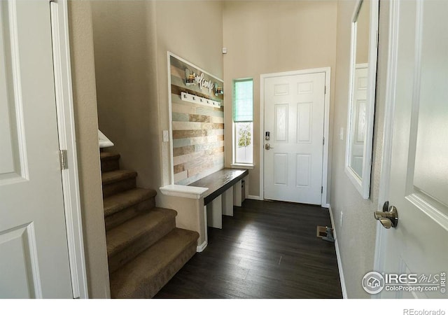 foyer entrance with dark hardwood / wood-style floors