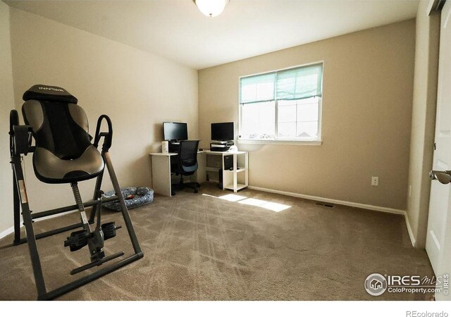 exercise area featuring carpet