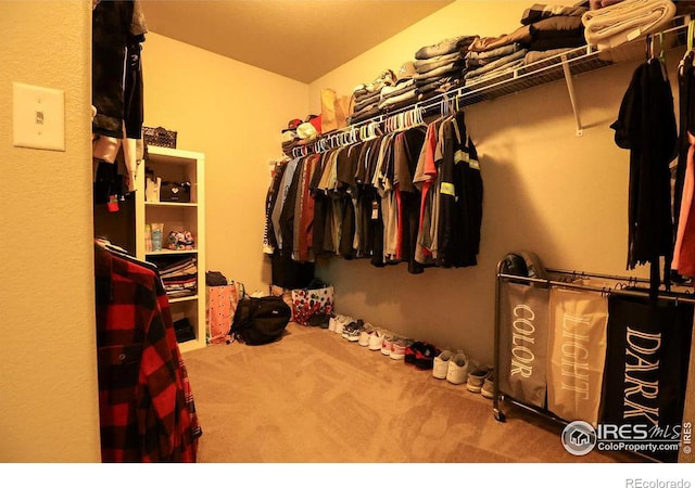 spacious closet with carpet flooring