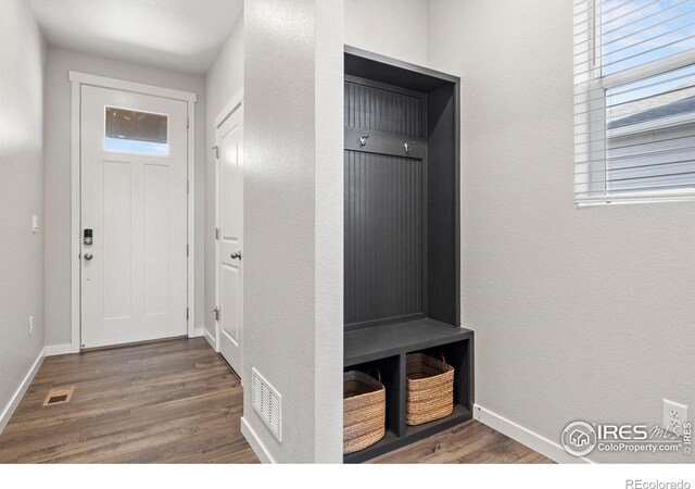 mudroom featuring dark hardwood / wood-style flooring