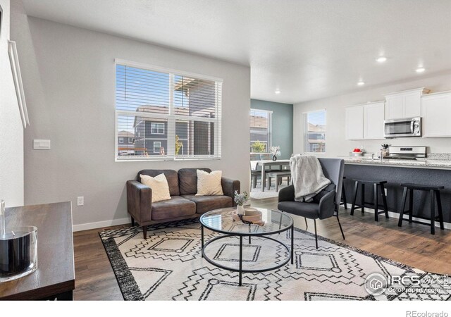 living room featuring hardwood / wood-style floors