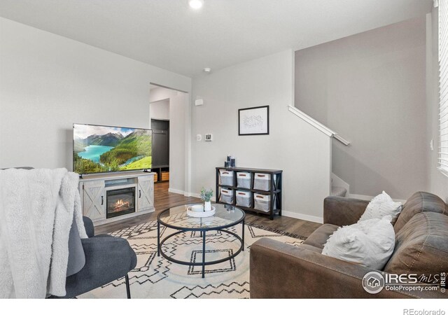 living room with wood-type flooring