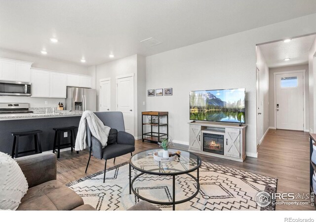 living room with dark wood-type flooring and a premium fireplace