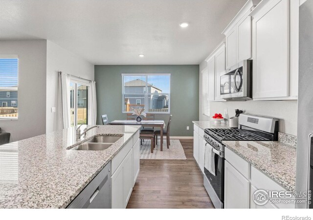 kitchen with sink, stainless steel appliances, plenty of natural light, and dark hardwood / wood-style flooring