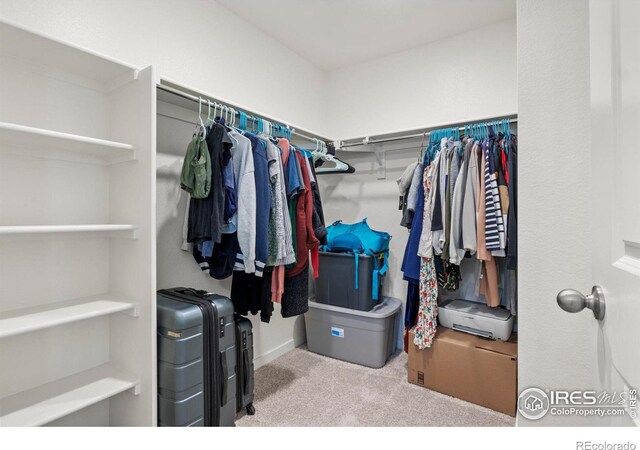 walk in closet with light carpet