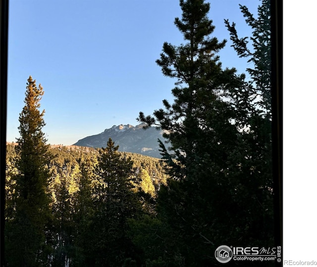 287 S Skinner Rd, Allenspark, CO 80510 - view of mountain backdrop
