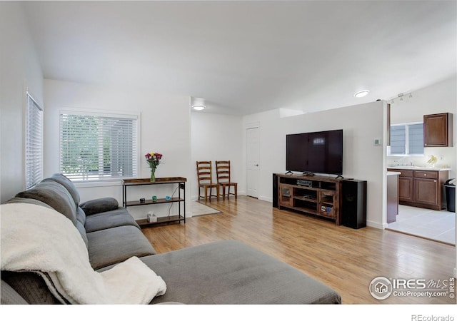 living room featuring light hardwood / wood-style floors