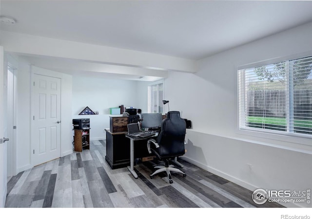 office space with hardwood / wood-style flooring