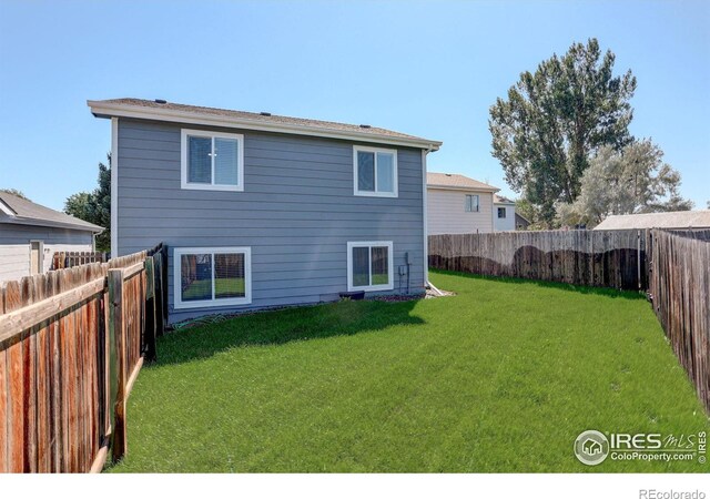 back of house featuring a yard