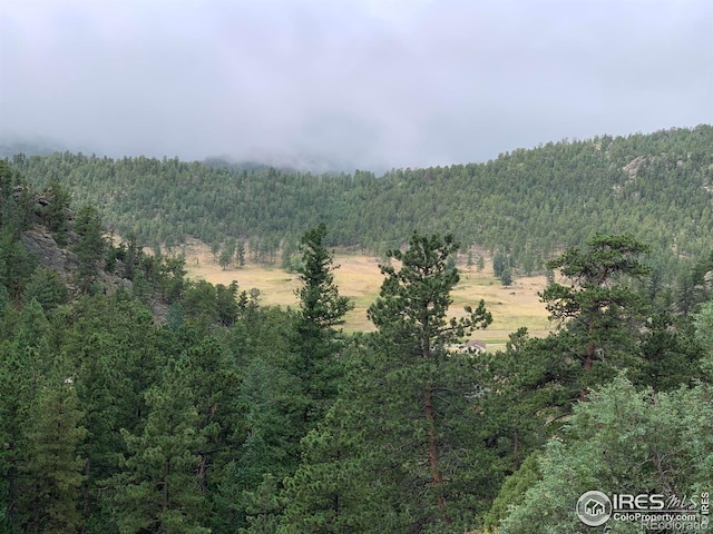 875 Pine Tree Dr, Estes Park CO, 80517 land for sale