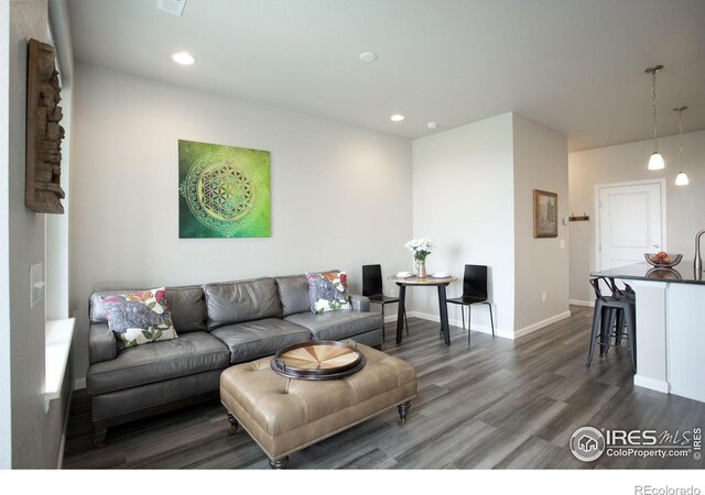 living room featuring dark wood-type flooring