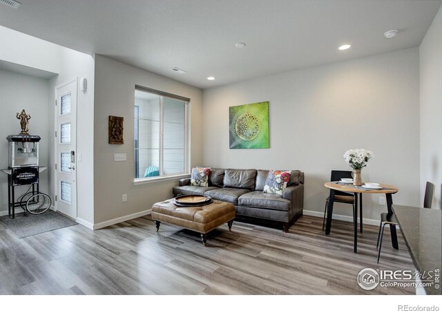 living room featuring light hardwood / wood-style flooring