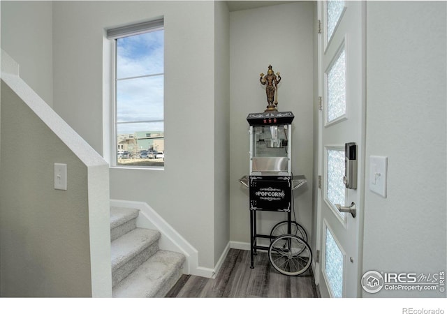 foyer with a wealth of natural light and dark hardwood / wood-style floors