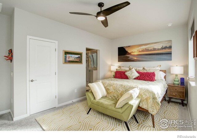 carpeted bedroom with ceiling fan and a walk in closet