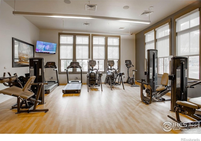 gym featuring light hardwood / wood-style flooring