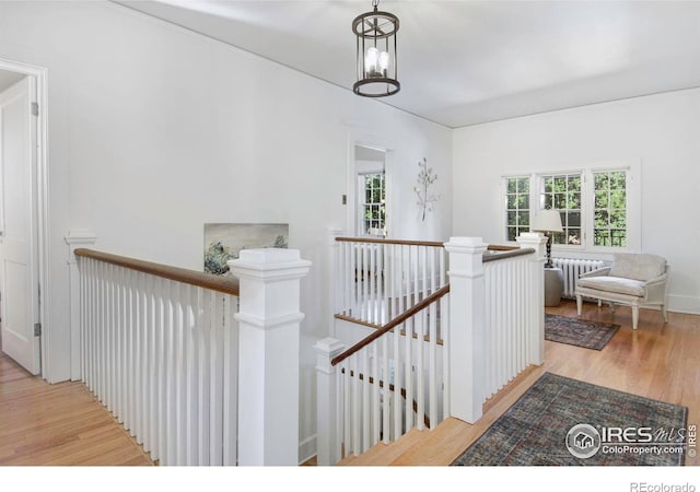 hallway featuring light wood-type flooring, radiator, and a wealth of natural light