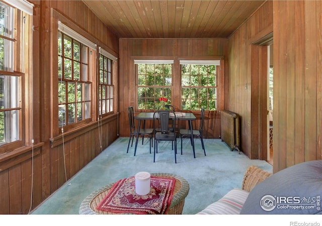 sunroom with wood ceiling and a healthy amount of sunlight