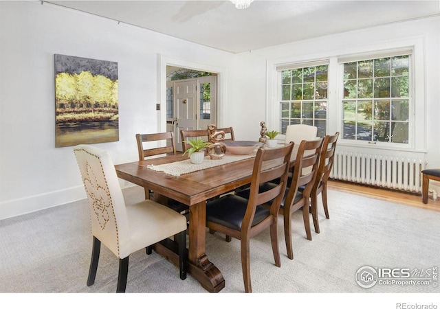 carpeted dining area with radiator and a healthy amount of sunlight