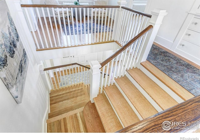 stairway with hardwood / wood-style flooring