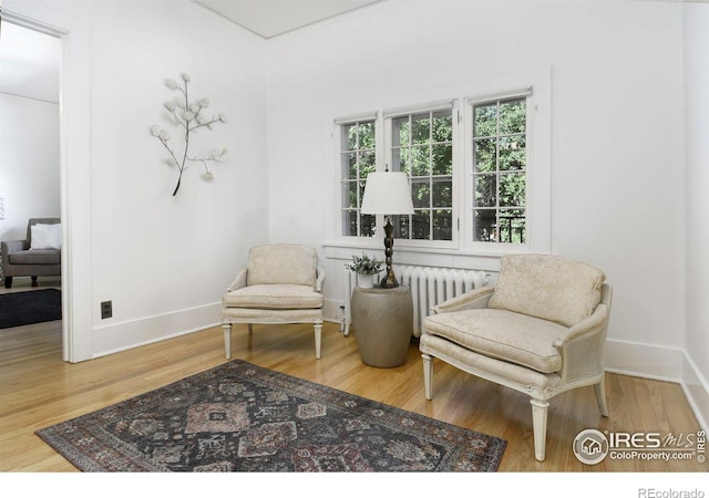 living area with light hardwood / wood-style flooring and radiator heating unit