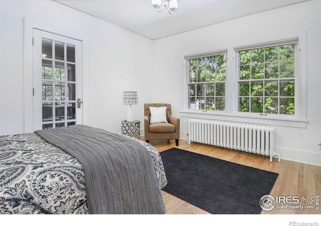 bedroom with radiator heating unit and light hardwood / wood-style flooring