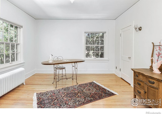 office area with radiator and light hardwood / wood-style flooring