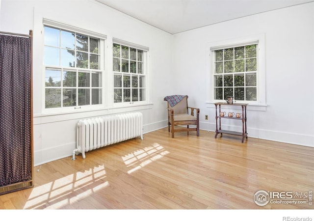 living area featuring radiator heating unit and light hardwood / wood-style floors