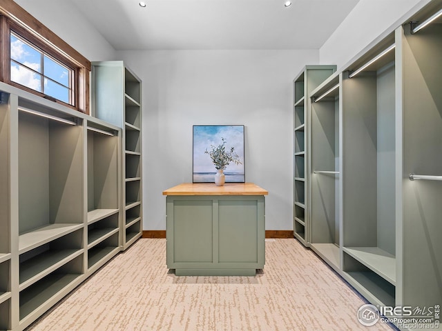 spacious closet with light colored carpet