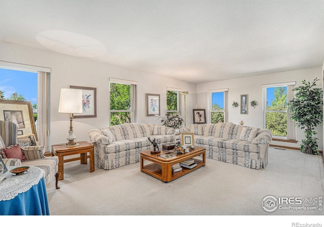 living room with carpet floors