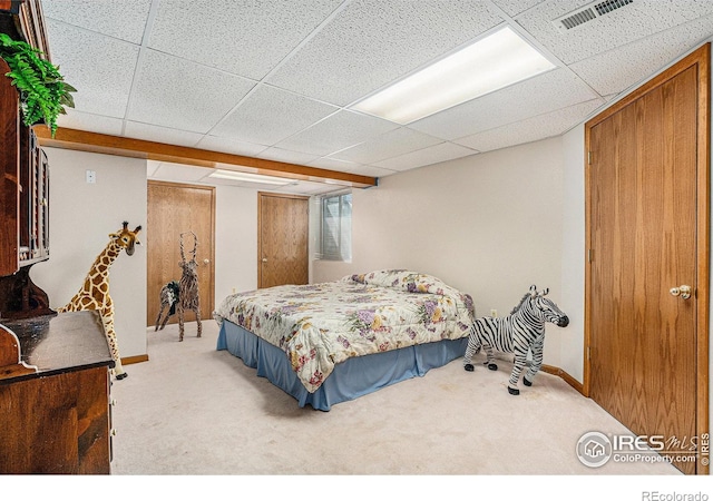 bedroom featuring multiple closets, a paneled ceiling, and carpet