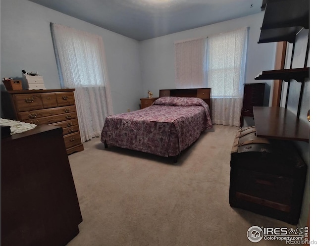 bedroom with carpet flooring