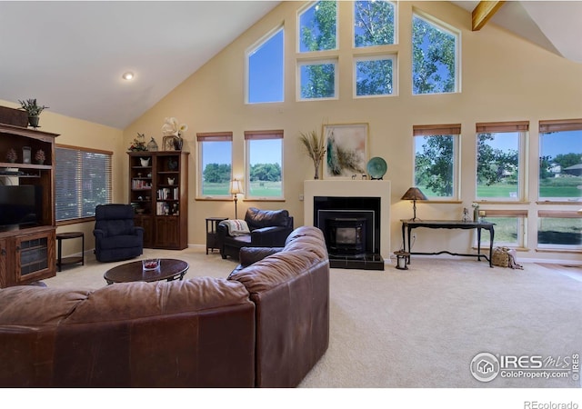 living area featuring a healthy amount of sunlight, carpet floors, and high vaulted ceiling