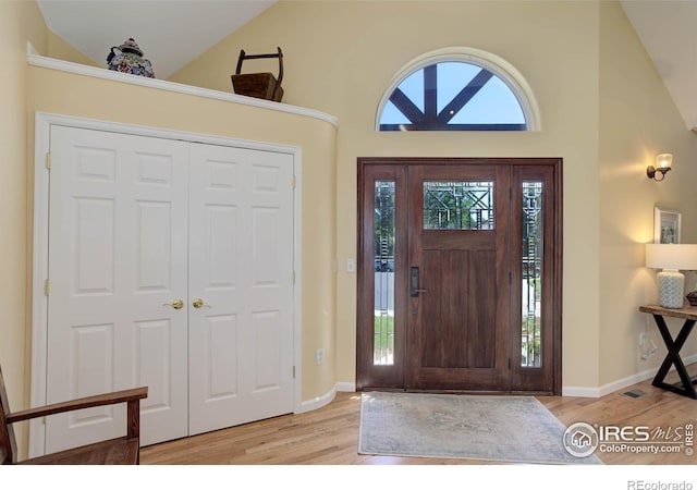 foyer entrance featuring baseboards, a healthy amount of sunlight, and wood finished floors