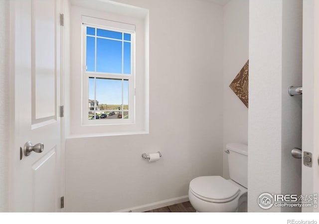 bathroom with wood-type flooring and toilet