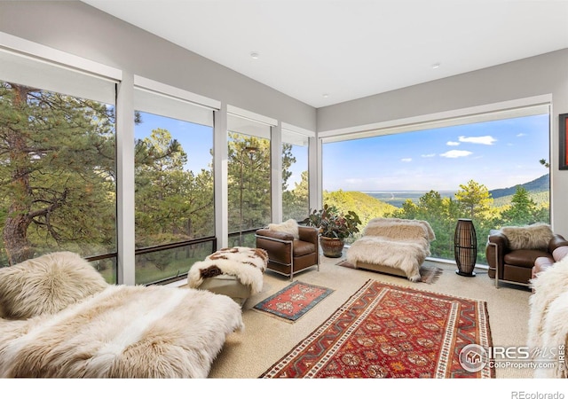 living room with carpet floors