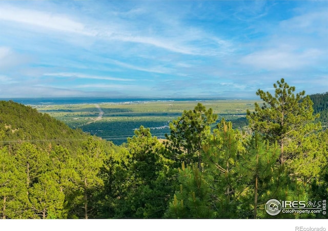 271 Anemone Dr, Boulder, CO 80302 - water view featuring a forest