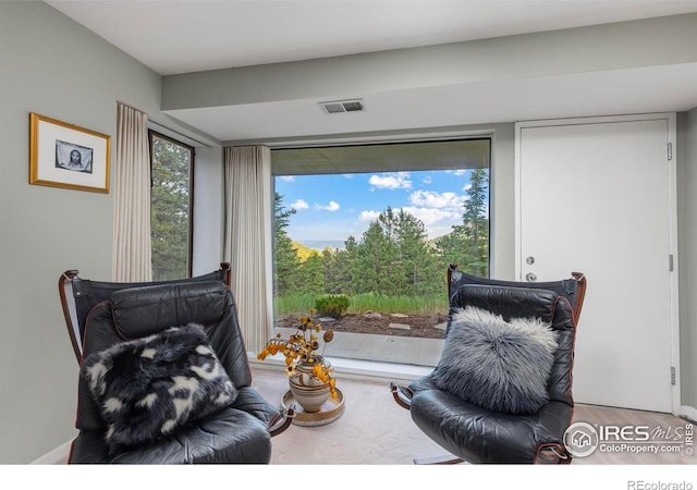 271 Anemone Dr, Boulder, CO 80302 - view of living area